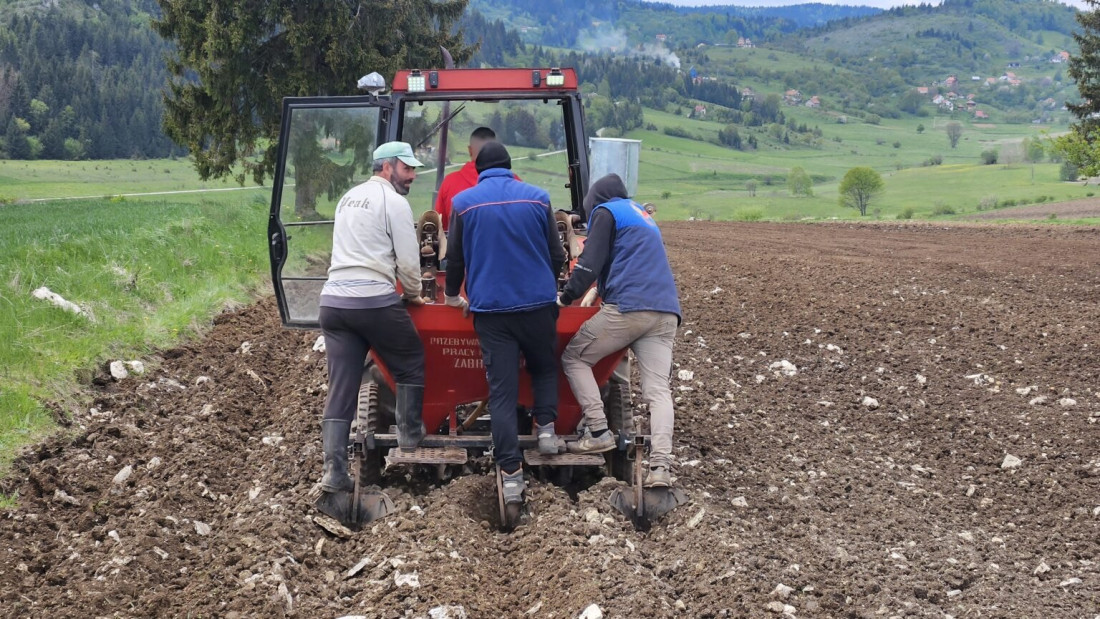Krompir carstvo na vrhu Srbije: Gujaničići iz Akmačića godišnje uberu preko 900 tona sa planinskih njiva (FOTO)