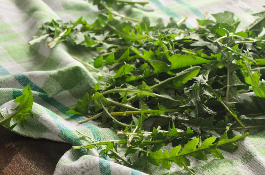 Raste na svakom ćošku, a leči kao čitava apoteka: Naše bake su znale za istinsku moć ove biljke