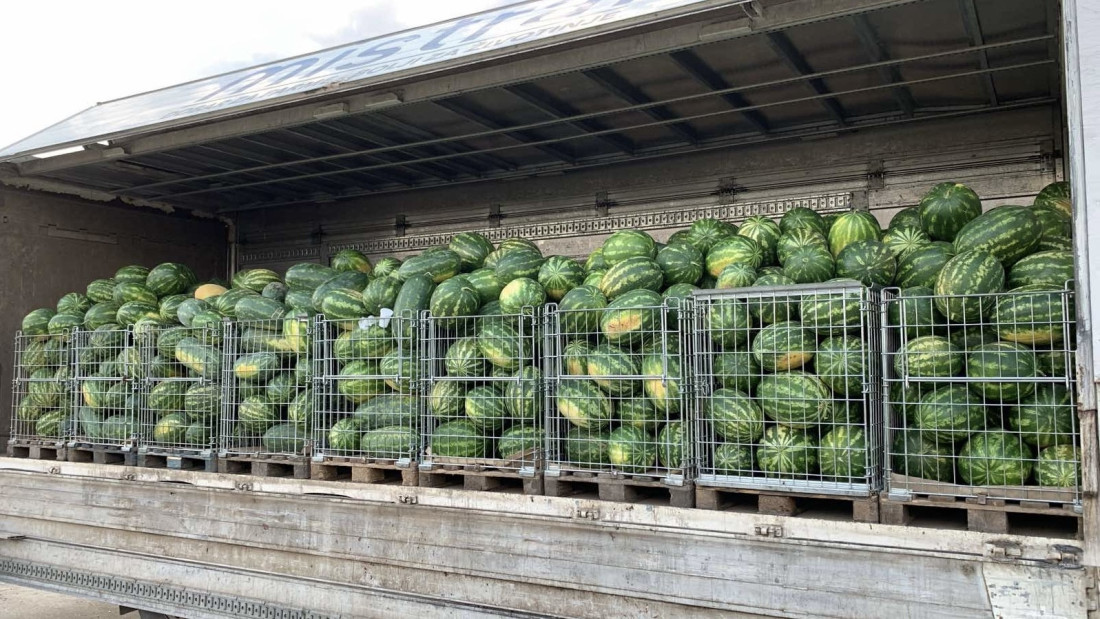 Sava iz Deronja - kralj lubenica: Na selu sa porodicom obrađuje preko 100 hektara (FOTO)