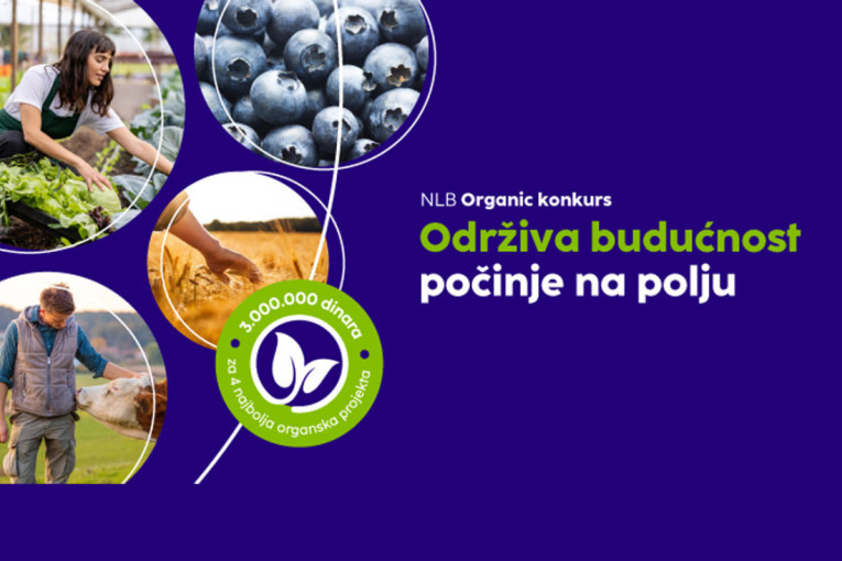 Tri miliona dinara za najbolje projekte iz organske poljoprivrede: Ostalo je još samo nekoliko dana za prijavu na NLB Organic konkurs