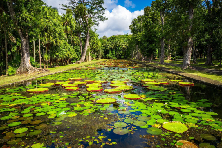 Šarenilo usred Indijskog okeana: Idealna destinacija za putovanje iz snova, prizori kojima ne treba filter