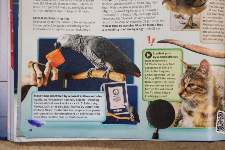 Sve je počelo zbog jedne rasprave: Kako je nastala Ginisova knjiga rekorda?