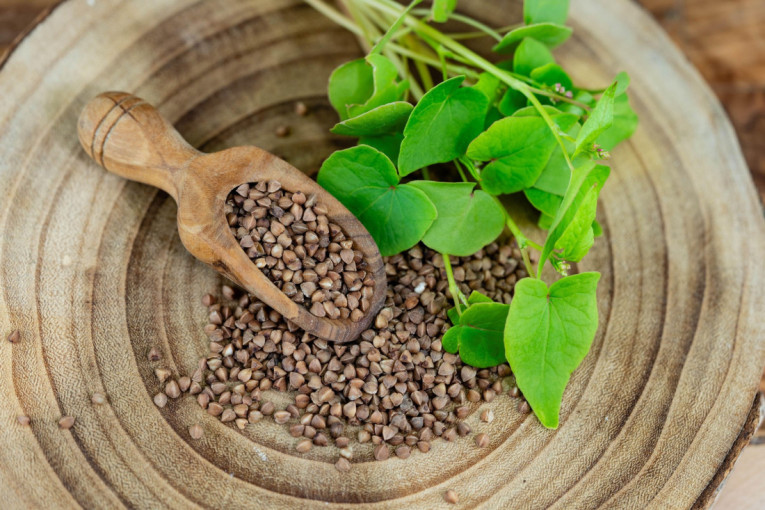 Recept dana: Posni rolat sa spanaćem osvaja bogatim punjenjem i aromatičnim začinima