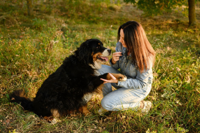 Razmišljate da udomite psa? Tri razloga zašto je bolje da se odlučite za starijeg ljubimca umesto šteneta