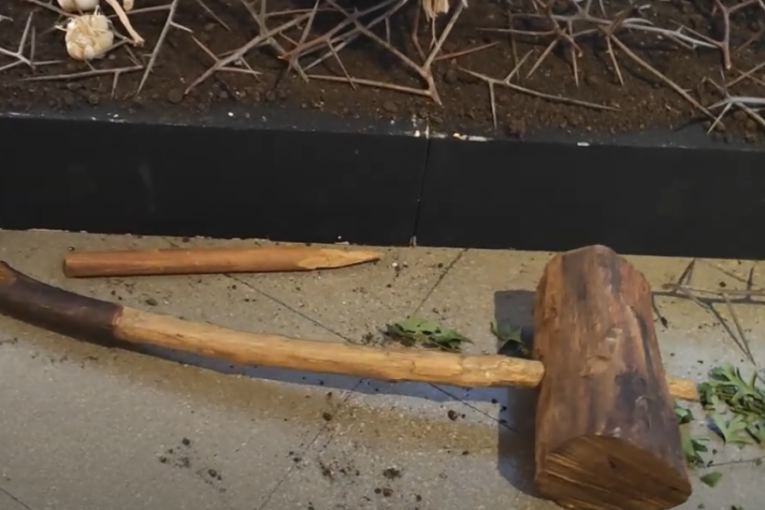 Nađen obredni glogov kolac, vampire ubijali u Vinči!? Evo gde se sada nalazi (VIDEO)