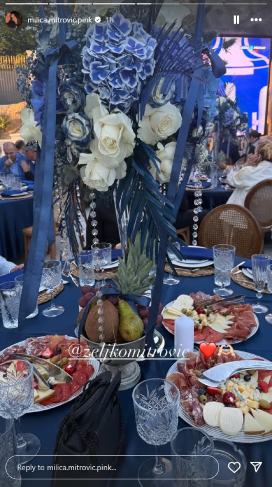 Željko Mitrović napravio gala feštu za svoj 58. rođendan: U dvorcu sve blješti od luksuza!