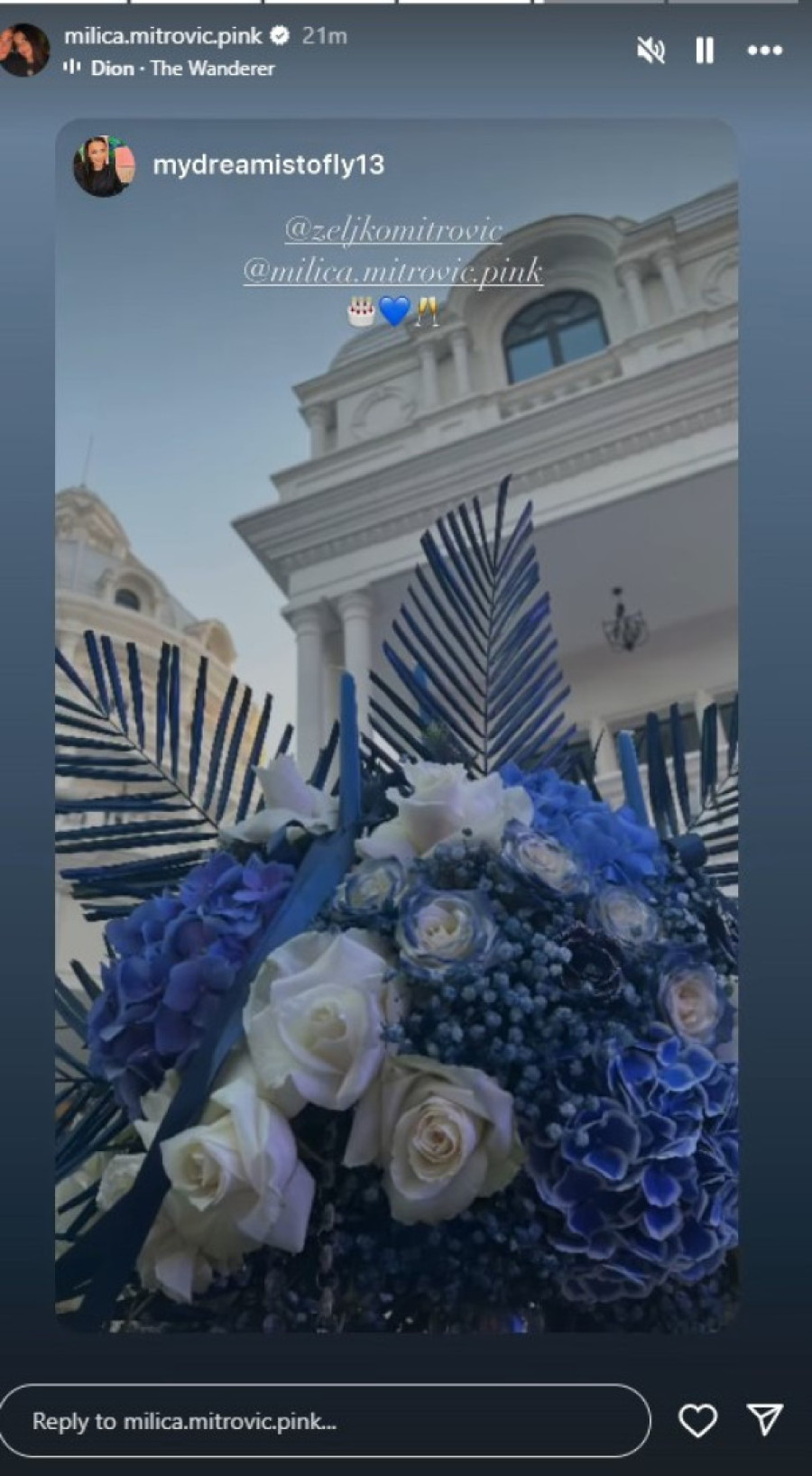 Željko Mitrović napravio gala feštu za svoj 58. rođendan: U dvorcu sve blješti od luksuza!