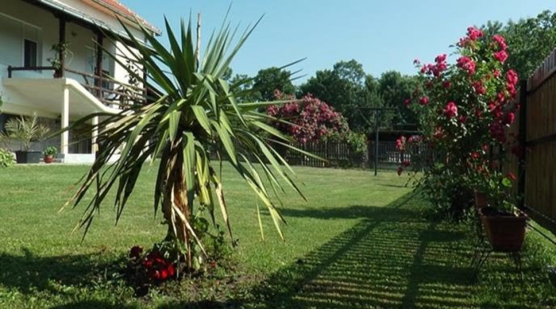 Žena sa zlatnim rukama: Verica iz sela pod Vujnom stvorila dvorište iz snova! (FOTO)