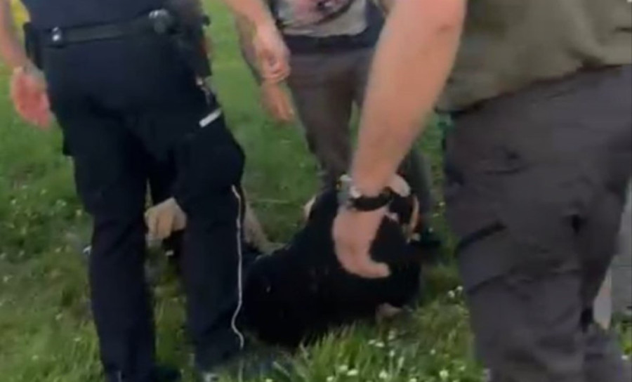 Hitler jugend! Odredi blokadera uz podršku repera od nasilnika prave heroje!