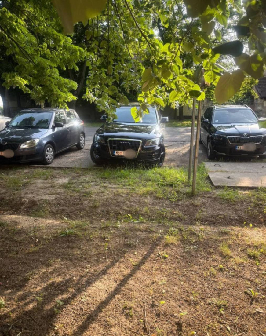 Čoka ne može da se oporavi od šoka! Nakon velelepnog mitinga u Novom Kneževcu, Miša Bačulov oborio sve rekorde