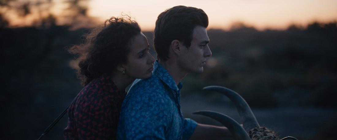 Film "Životinja" na repertoaru domaćih bioskopa: Trka bikova je njihova strast (FOTO/VIDEO)