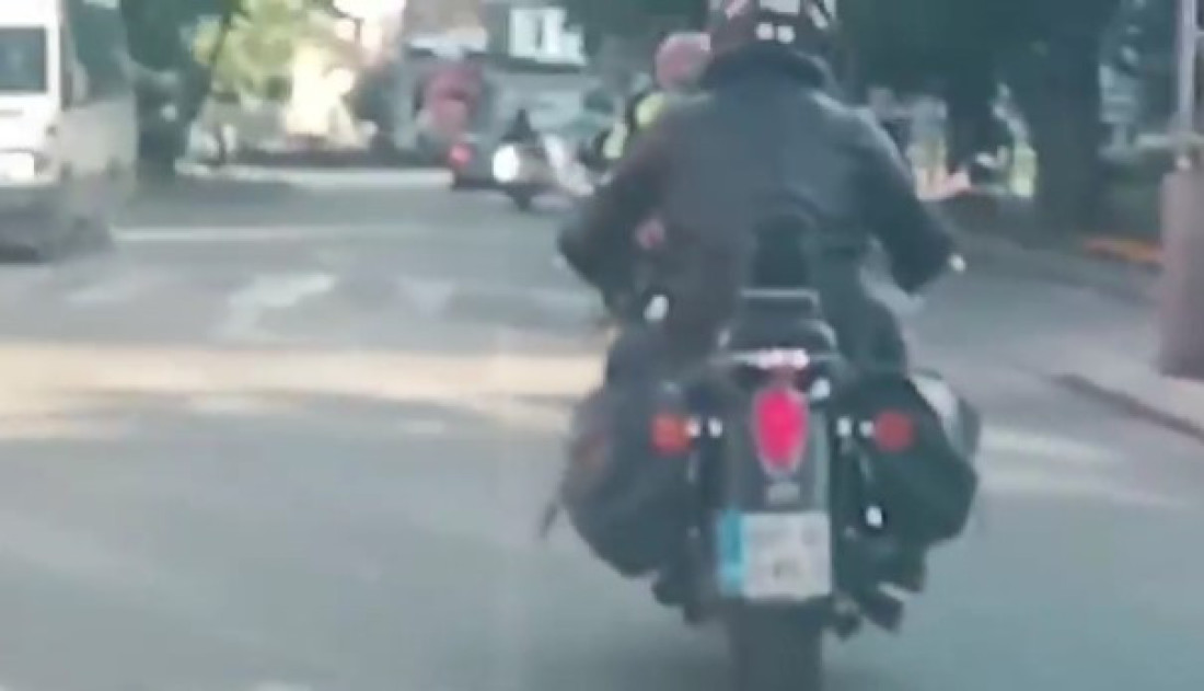 Stranci upali u Zaječar: Bugari došli da učestvuju u izbornom ludilu?! (VIDEO)