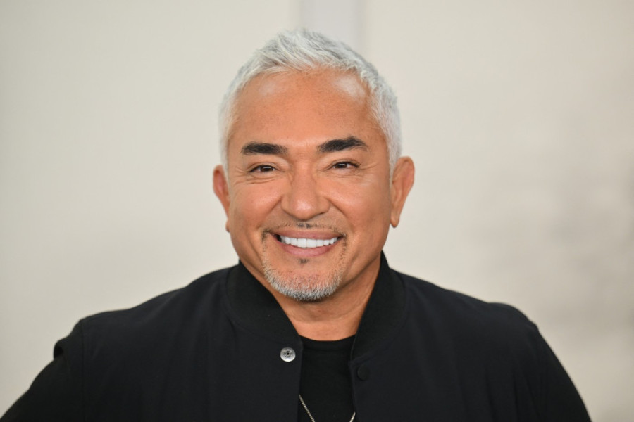 Šaptač psima Cezar Milan objašnjava: Šest uobičajenih ponašanja pasa i njihova skrivena značenja