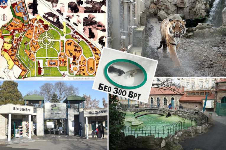 RAT NA BLISKOM ISTOKU Libanska vojska: IDF je već više puta prekršio primirje