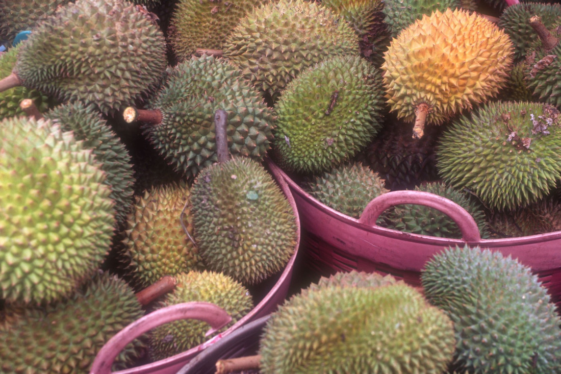 Voće koje smrdi kao kanalizacija: Zabranjeno je u avionu, a u nekim zemljama se smatra delikatesom