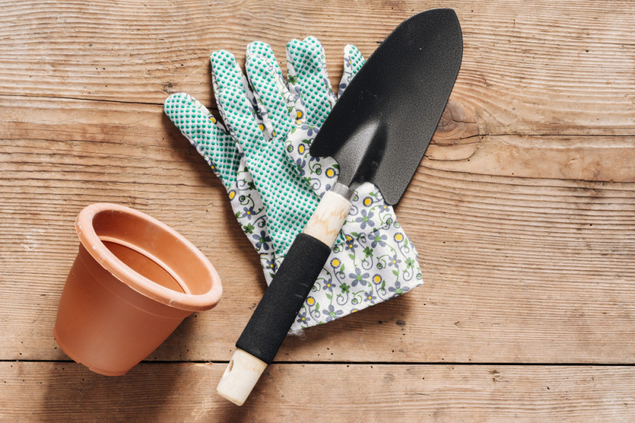 Požurite pre nego što temperatura padne: Pet stvari koje treba da uradite u dvorištu pre prvog mraza