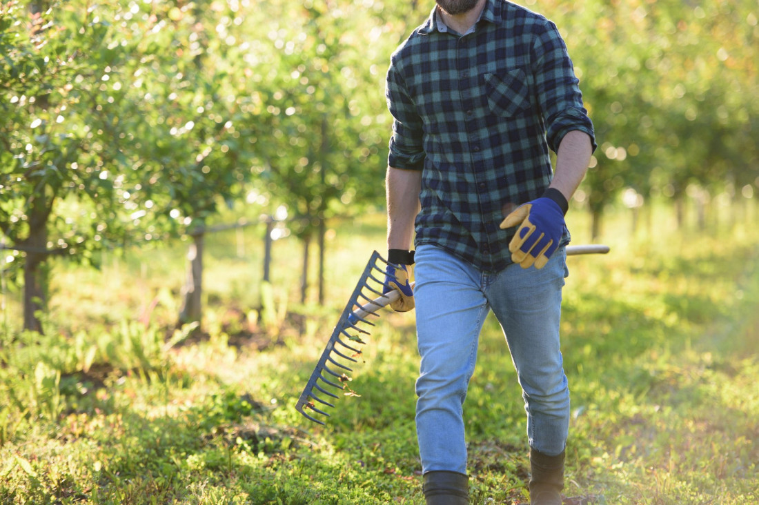 Tvoja bašta ne može bez ovih sedam alata: Opremite se i napravite zelenu oazu od dvorišta