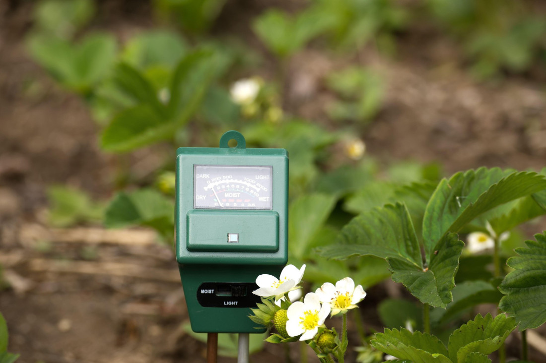 Tvoja bašta ne može bez ovih sedam alata: Opremite se i napravite zelenu oazu od dvorišta
