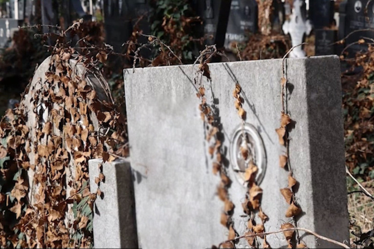 Dedi pokrali devize i zlato iz sanduka! Rođaci došli da očiste grob, zamalo pali u nesvest!