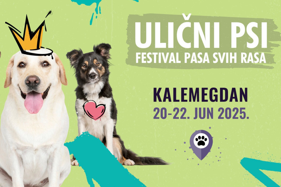 Tri dana ljubavi, druženja i maženja: Festival pasa svih rasa "Ulični psi" stiže na Kalemegdan