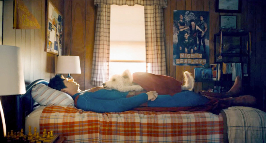 Da li je vaš pas umoran: Prepoznajte simptome nedostatka sna kod vašeg ljubimca