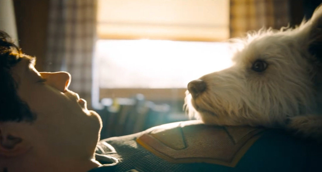 On je nesnosan, jedno uvo mu je spušteno i ima neverovatne moći: Kako je Supermen dobio svog novog prijatelja (FOTO/VIDEO)