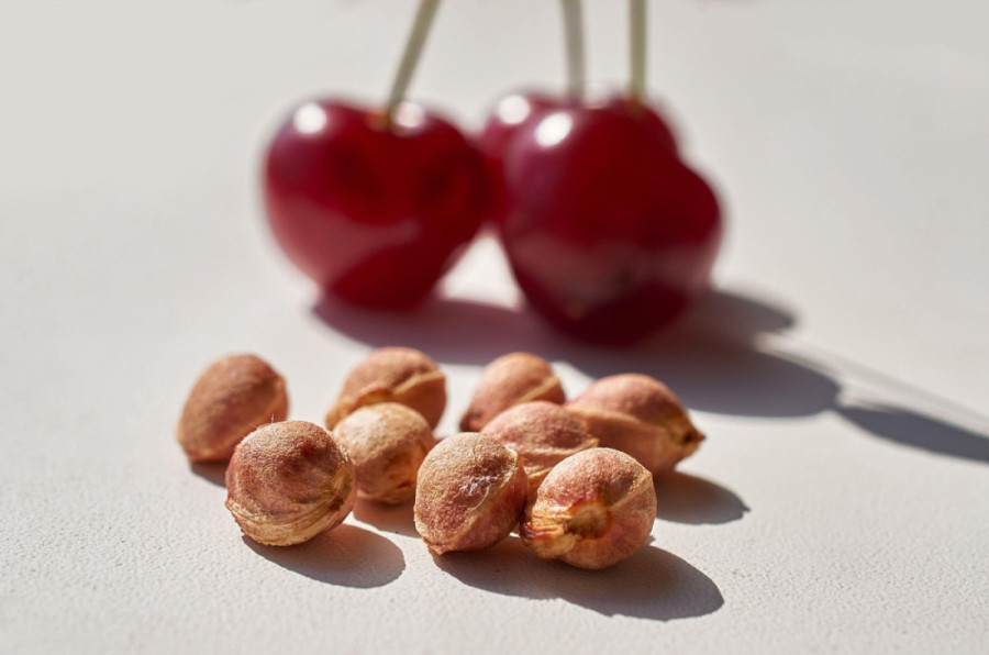 Zaboravljena tajna: Ovako su naše bake nekada smirivale stomačne grčeve kod beba