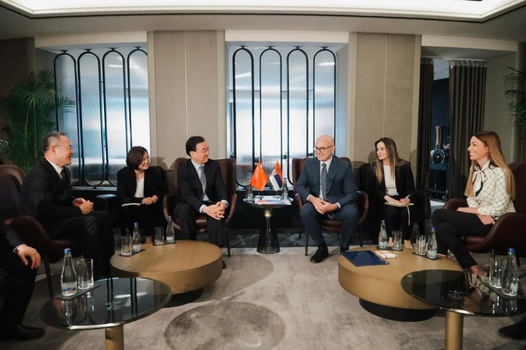 Vučević: "Uvek ćemo biti zahvalni na podršci Kine u našoj borbi za nacionalne interese" (FOTO)