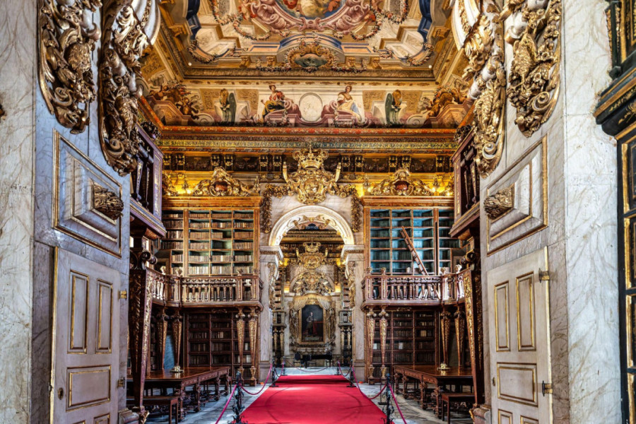 Kada se svetla ugase, počinje njihova patrola: Krilati čuvari već 200 godina štite istorijsku biblioteku bolje od ljudi (VIDEO)