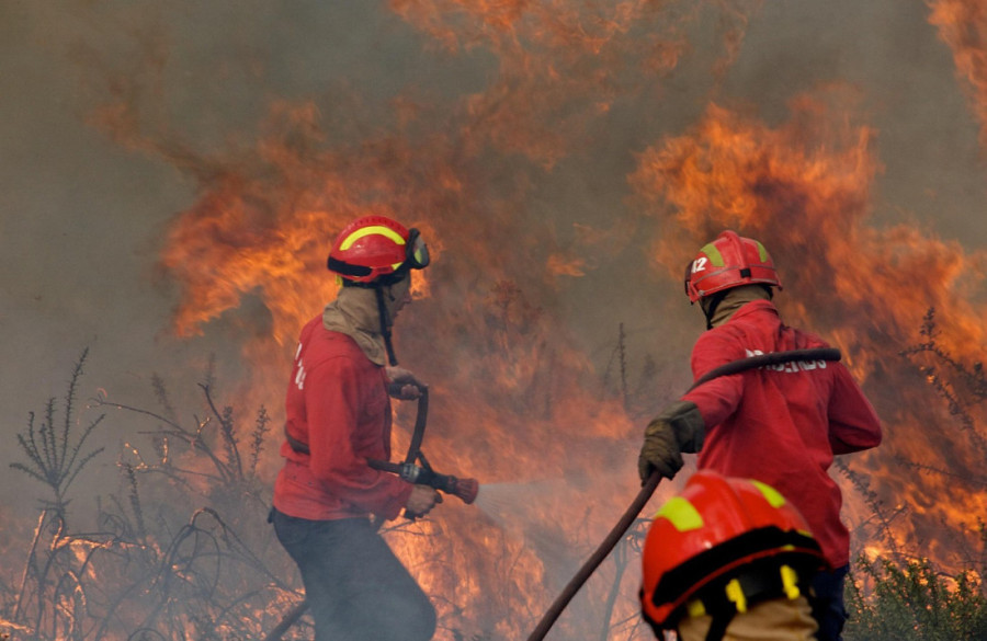 Gori celo skladište! Požar u Čelarevu, veliki broj vatrogasaca na terenu (VIDEO)
