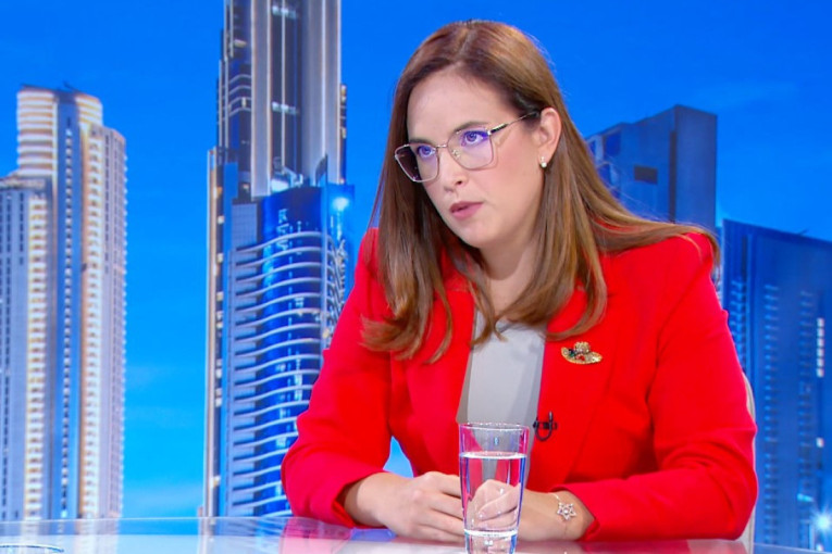 Pavkov: Zakonom o zaštiti vazduha povećan broj inspektora i pooštrene kazne