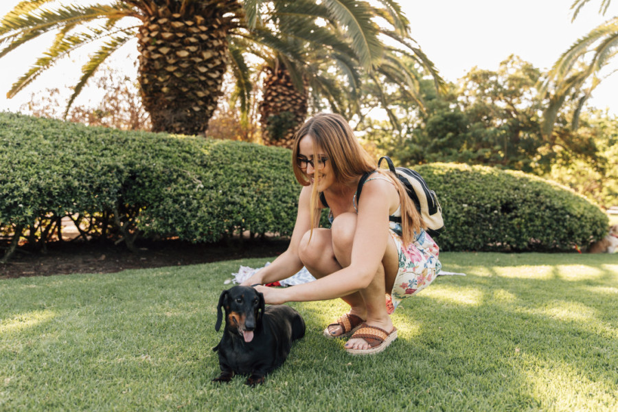 Veterinari apeluju: Ne izvodite psa napolje dok ne pročitate ovih sedam pravila za šetnju tokom velikih vrućina