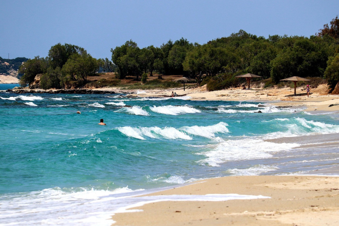 Užas u Svrljigu: Deda ubio komšiju pa telo sakrio u šumi