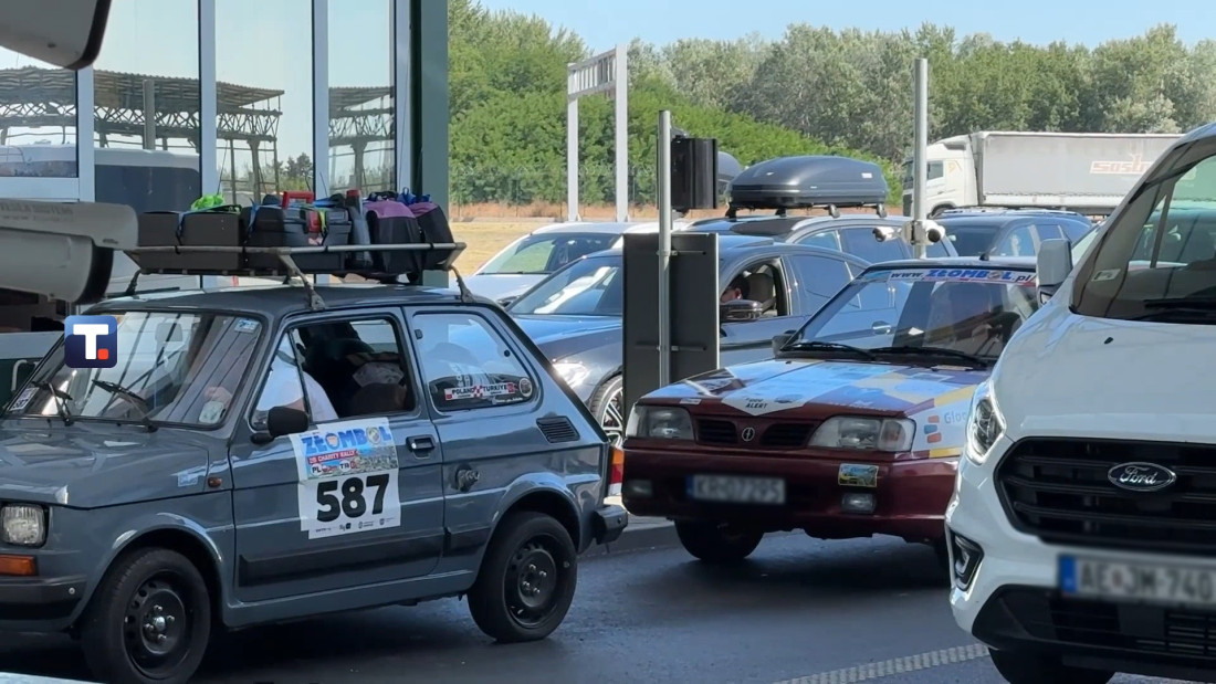 "Poljske dame" u Srbiji! Nestale pre 25 godina, sada se vratile (FOTO/VIDEO)