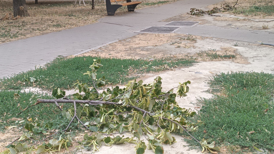 "Angažovane su sve komunalne službe u Novom Sadu": Mićin - bezbednost građana je apsolutni prioritet (FOTO/VIDEO)