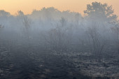 Plašili smo se da ne dođe do kuća: Veliki šumski požar izbio u ivanjičkom selu Lisa