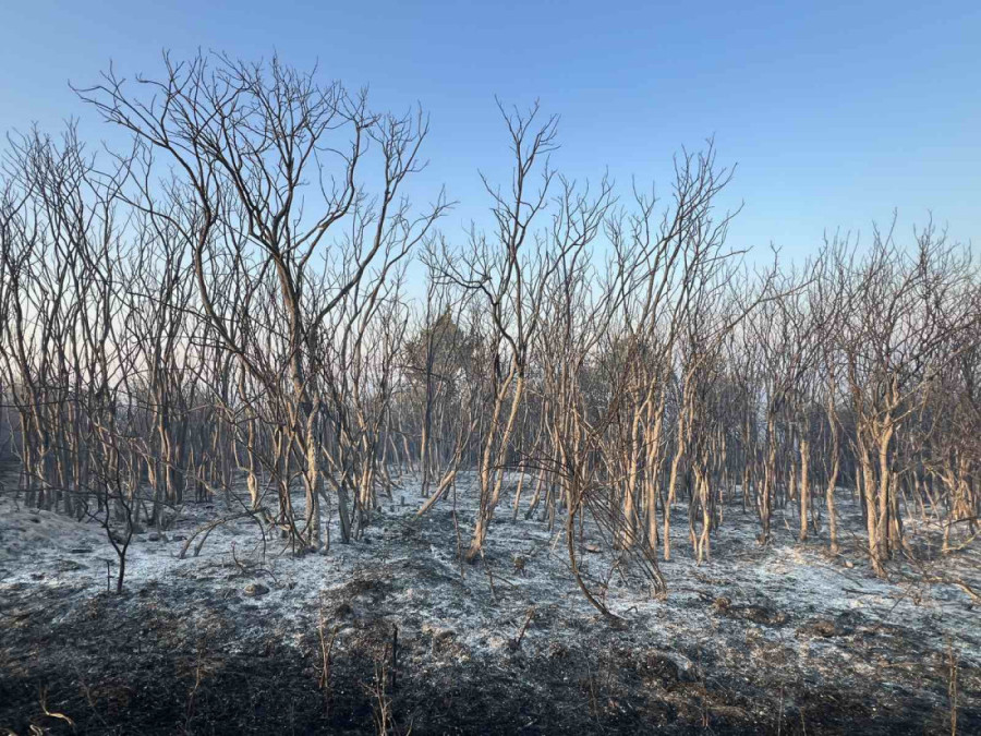 Ljudi, oprez! Da nam se ne ponovi pakao iz topličkog kraja, visoke temperature nose sa sobom rizik od požara!