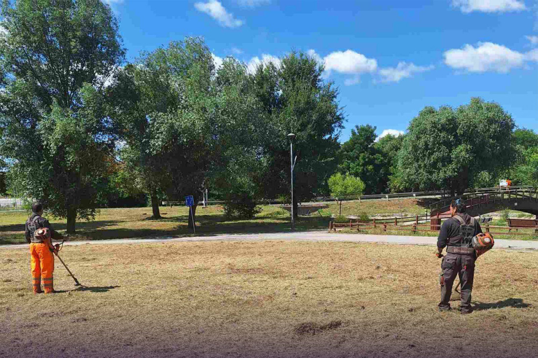 Pripreme u toku: Na jezeru Barica u Inđiji sprema se bioskopsko veče pod zvezdama
