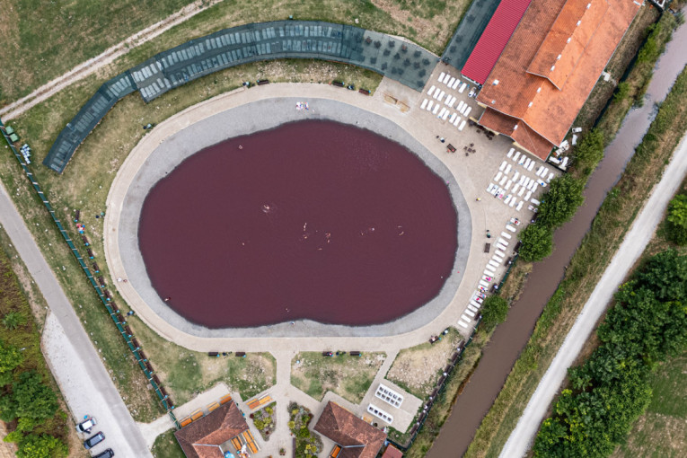 Kako je Bojčinska šuma postala Šervud? Obišli smo izletište nadomak Beograda gde se mangulice brčkaju, a krave slobodno šetaju (FOTO/VIDEO)