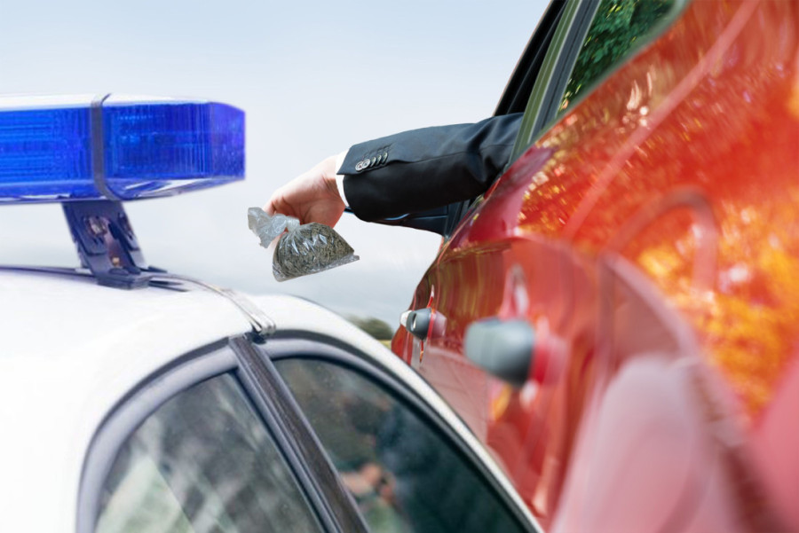 Velika akcija policije na "Lav festu": Svi uhapšeni zbog droge!