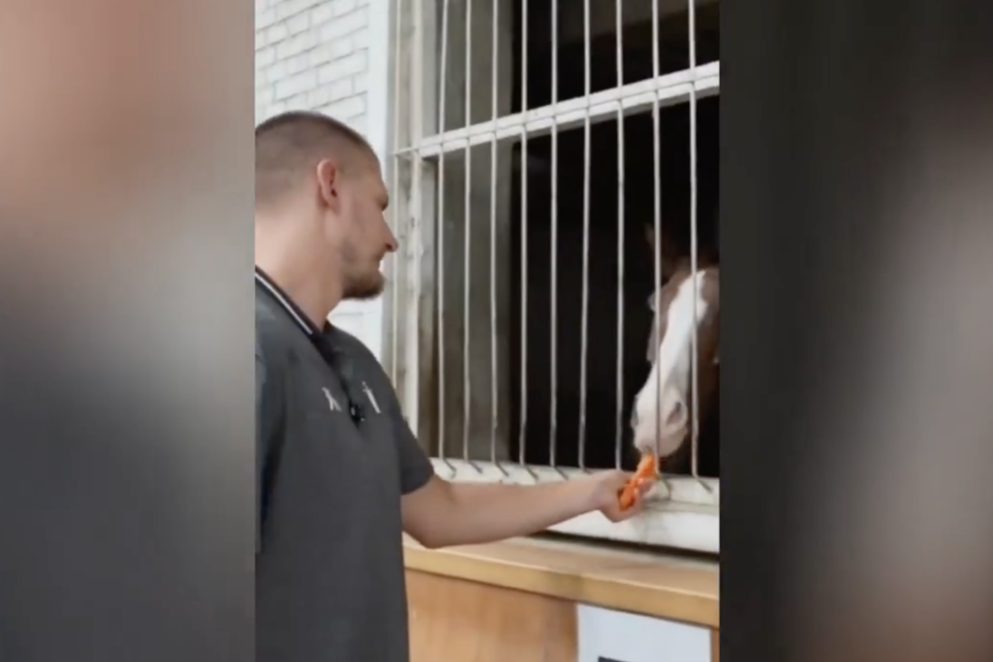 Jokić je i u Kini pronašao vremena za najveću ljubav! Srbin najlepše ostavio za kraj! (VIDEO)