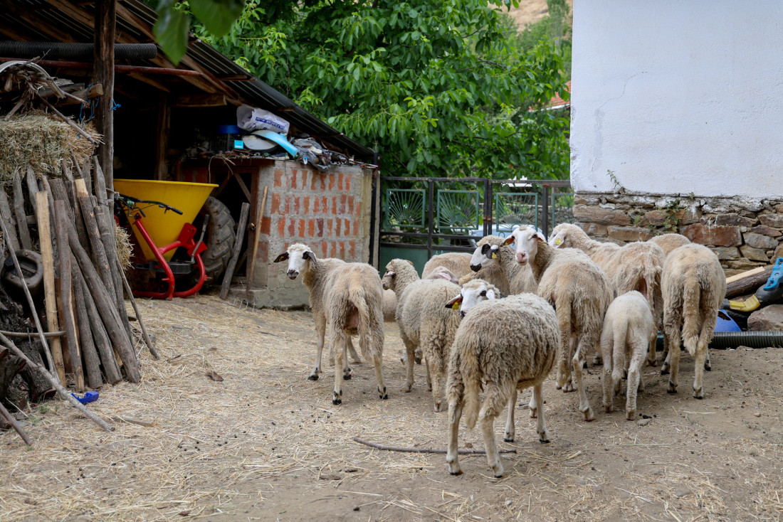 Gujon donosi nadu: Stigla pomoć od 100.000 evra za srpske porodice na Kosovu! (FOTO)