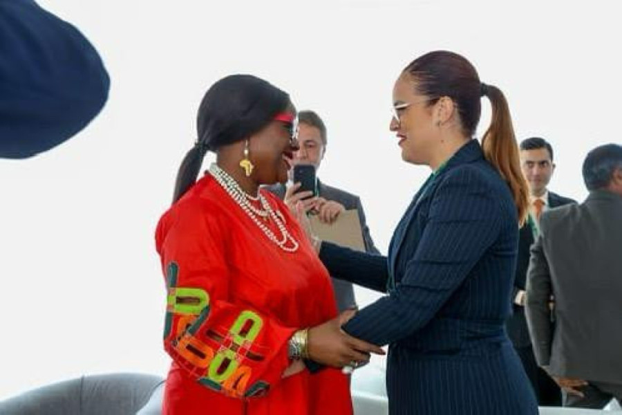 Pavkov u Zimbabveu: Novi Sad zvanično postao "Grad vlažnih područja" (FOTO)