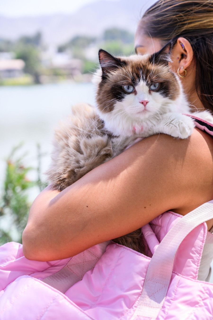 Kako to mislite, idete bez mene? Mačak se čak 160 km vozio na krovu, a onda se porodično putovanje pretvorilo u avanturu (VIDEO)