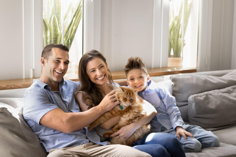 TOP 5 najumiljatijih rasa mačaka: One su pravi izbor za sve koji žele mazne, nežne i privržene ljubimice