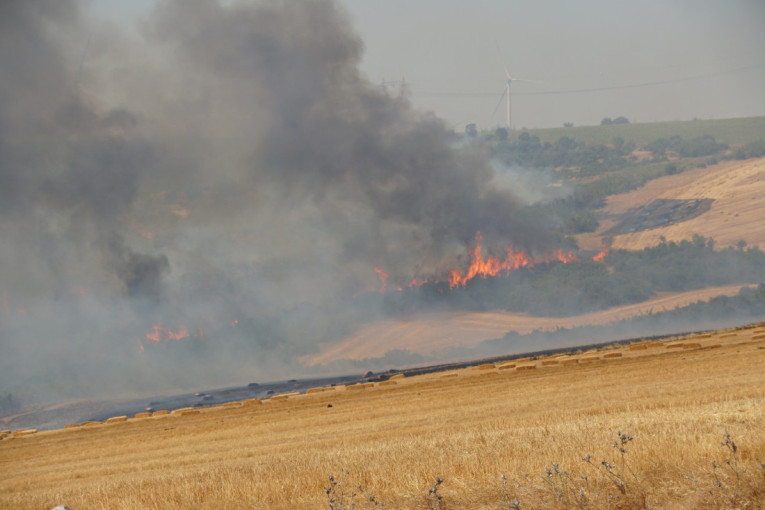 Izgorelo 95 ari šljive i kajsije! Čačanin palio strnjiku, izazvao strašan požar!