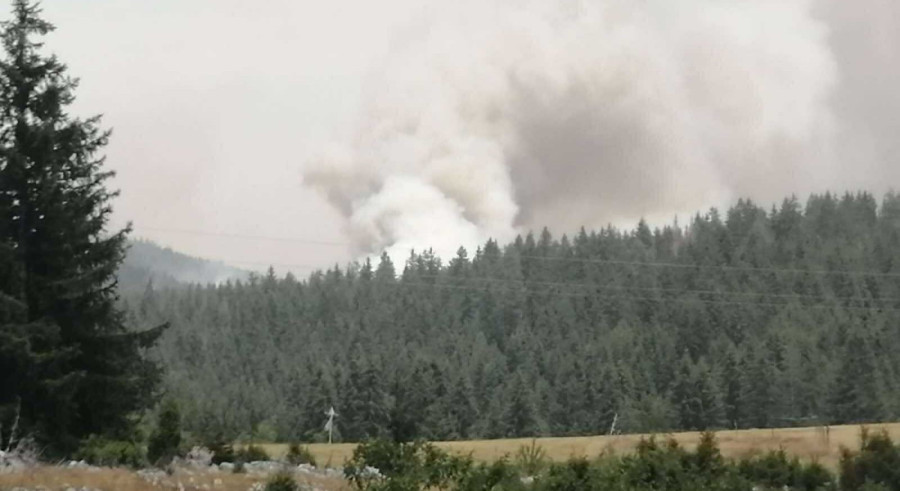 Vatra guta šumu kod Kamene Gore: Prizor iz Pljevalja kao erupcija vulkana