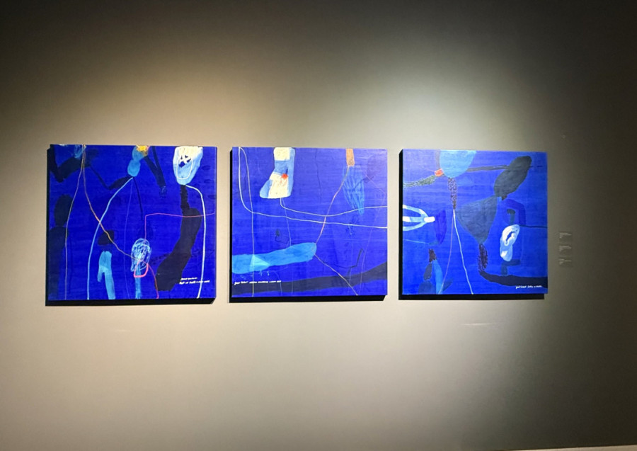 Ne pitajte šta je umetnik hteo da kaže, jer možda ni sam umetnik ne zna šta je hteo da kaže: Otvorena izložba "Jess malo sutra" (FOTO/VIDEO)