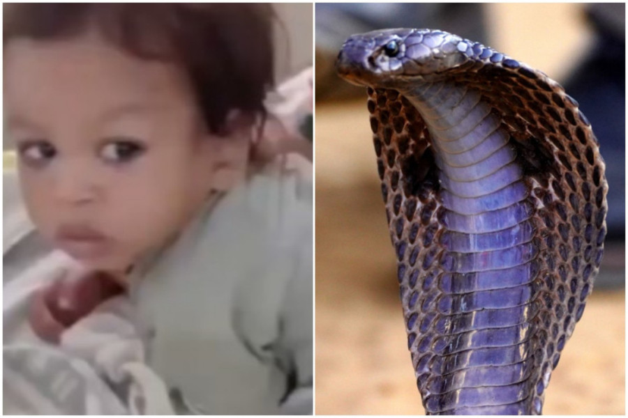 Dečak (12) iz Novog Sada raznežio Srbiju! Svi čitaju ovu poruku i dive mu se! (FOTO)