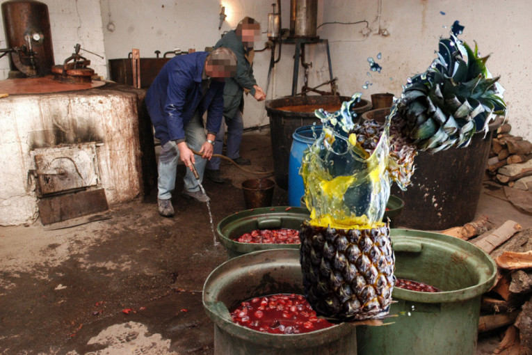 Top izum kod Topole: Šljive "samo za lek", a evo na koju rakiju prelaze Šumadinci (FOTO)